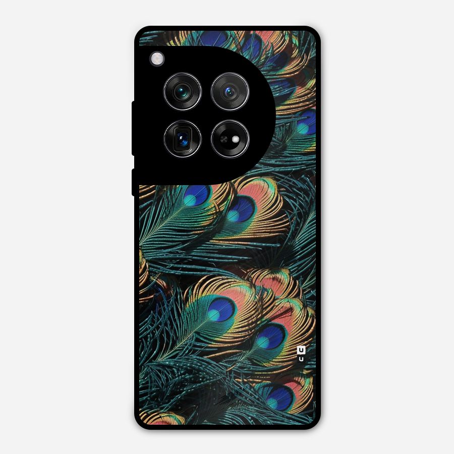 Peacock Feather Art Metal Back Case for OnePlus 12