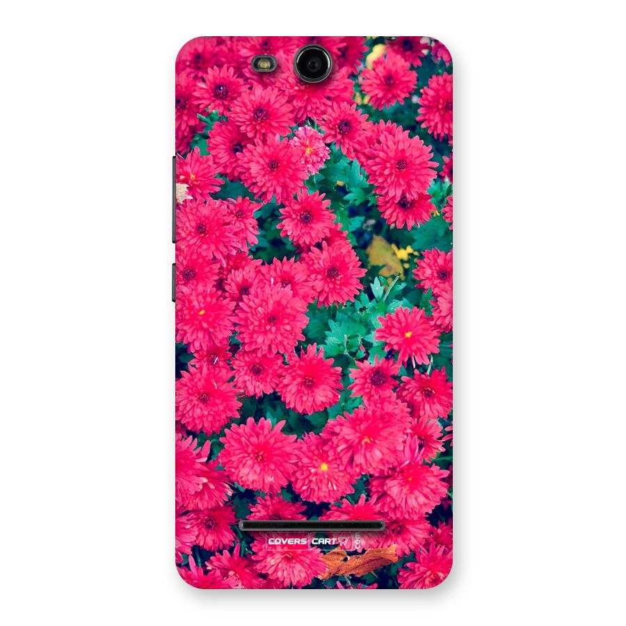 Pink Flowers Back Case for Micromax Canvas Juice 3 Q392