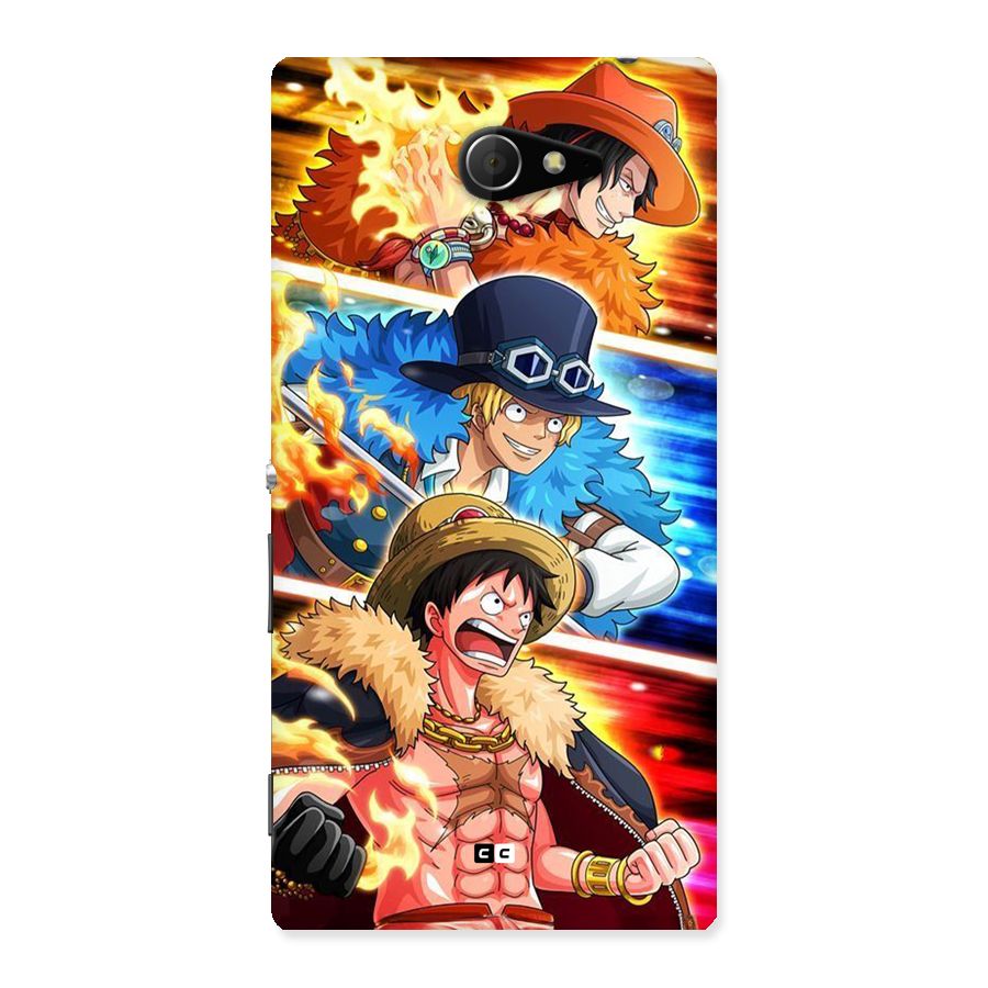 Pirate Brothers Back Case for Xperia M2