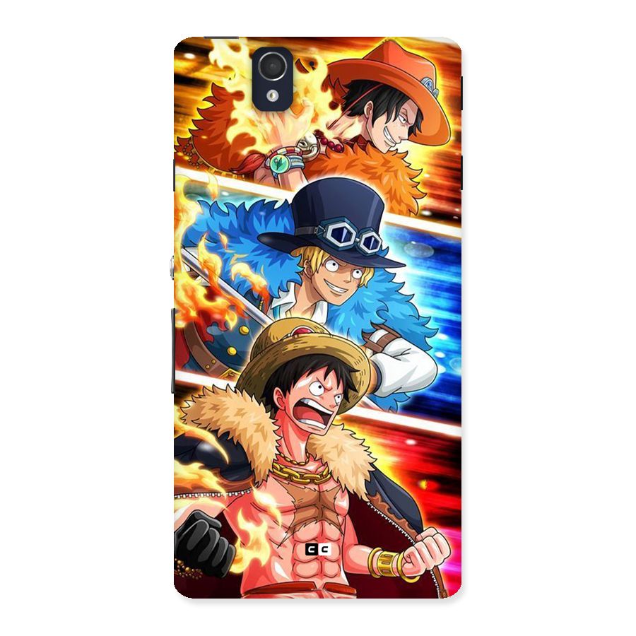 Pirate Brothers Back Case for Xperia Z