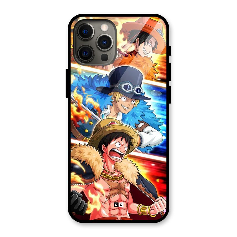 Pirate Brothers Glass Back Case for iPhone 12 Pro Max