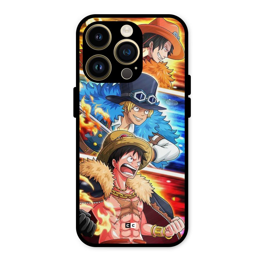 Pirate Brothers Metal Back Case for iPhone 14 Pro