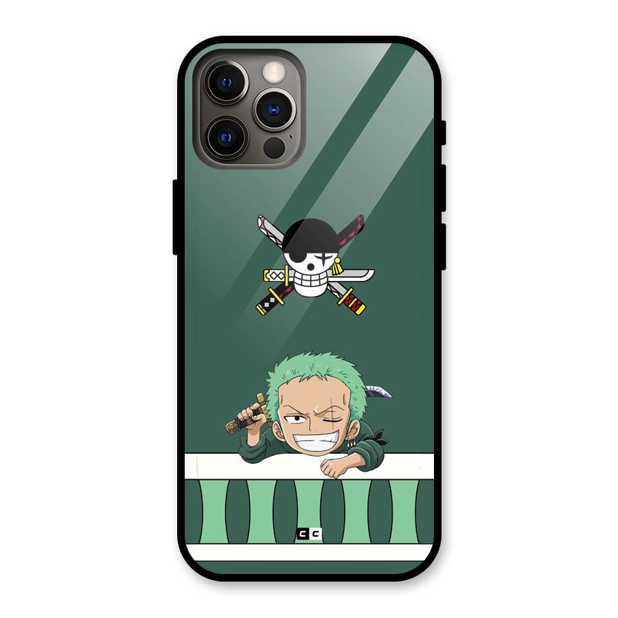 Pirate Hunter Zoro Glass Back Case for iPhone 12 Pro