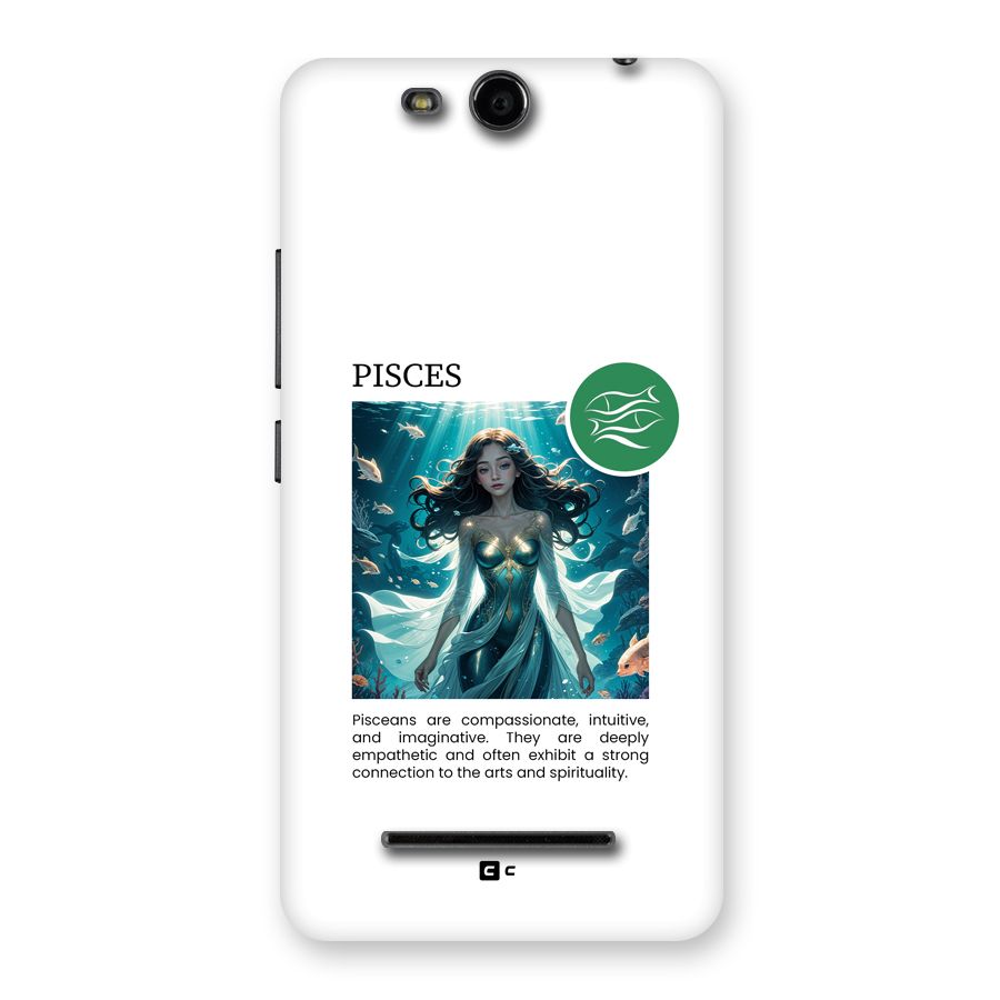 Precious Pisces Back Case for Canvas Juice 3 Q392