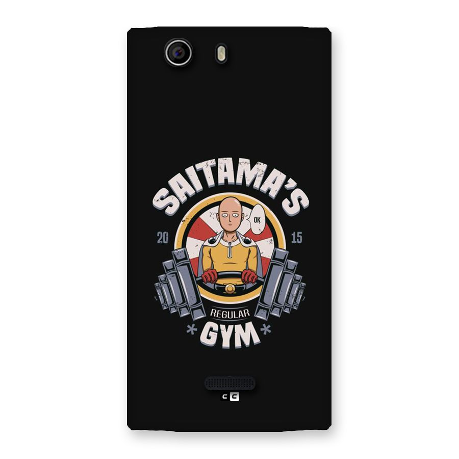 Saitama Gym Back Case for Canvas Nitro 2 E311