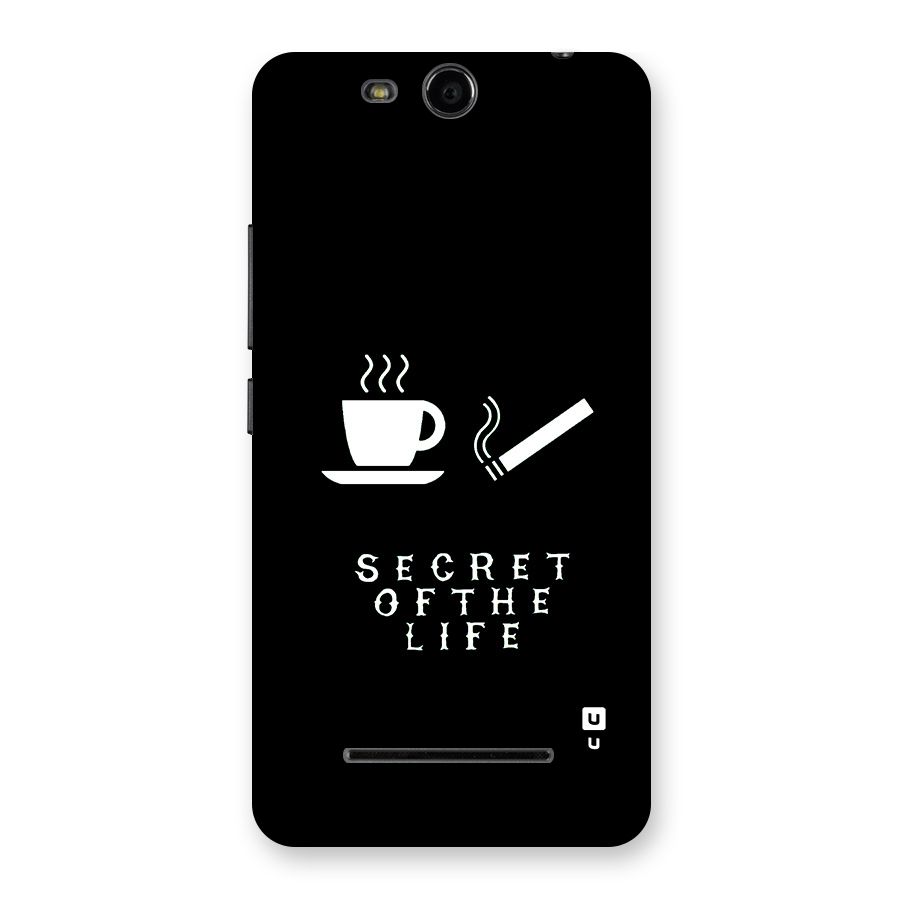 Secrate of Life Back Case for Canvas Juice 3 Q392