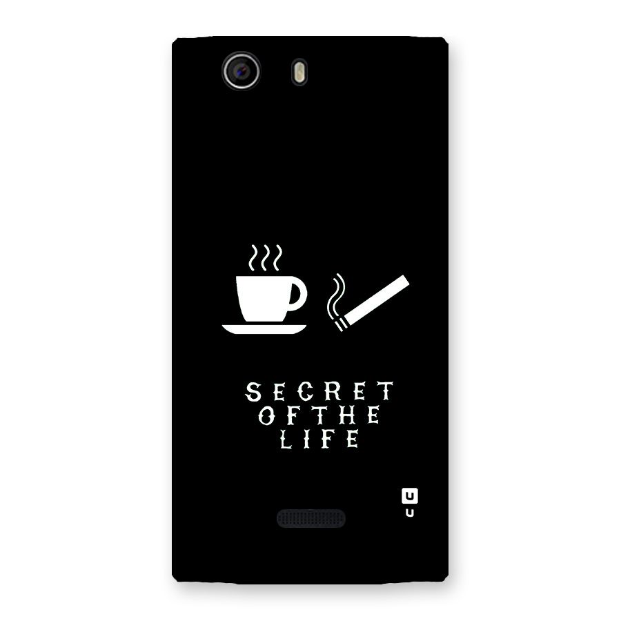 Secrate of Life Back Case for Canvas Nitro 2 E311