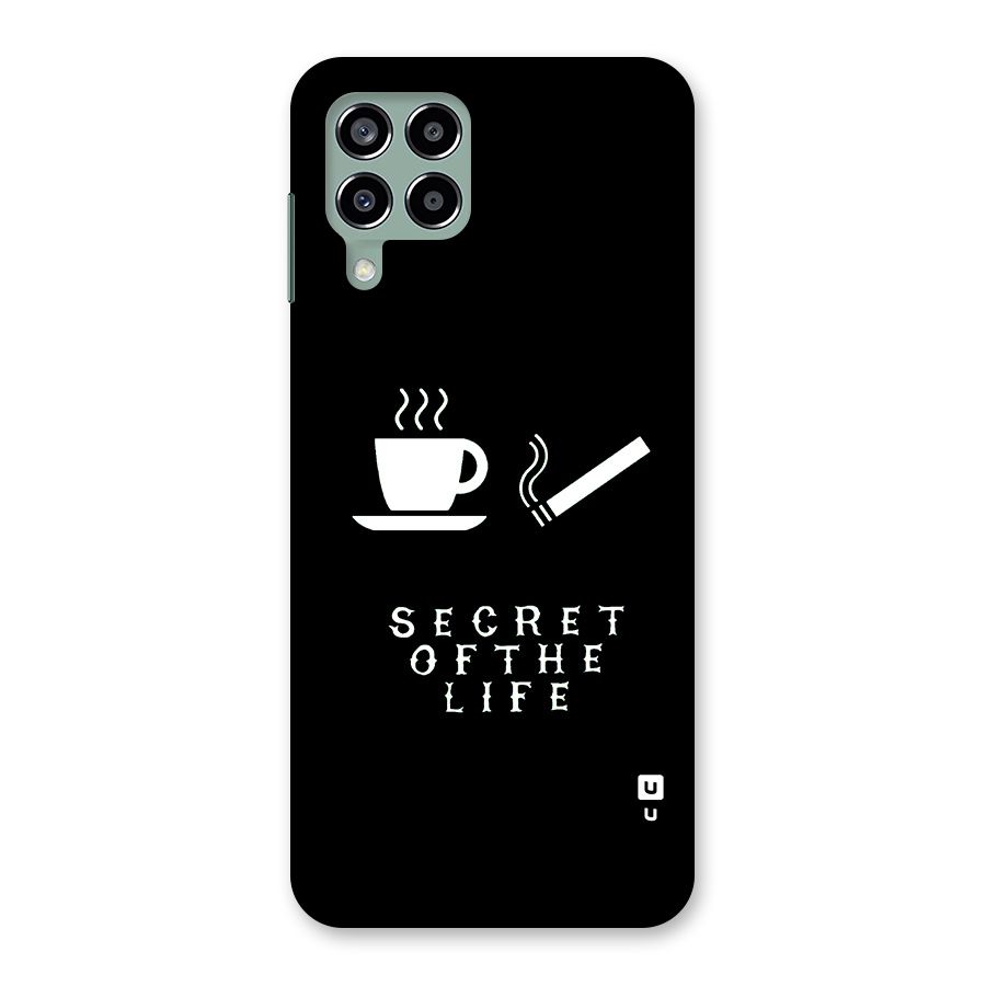 Secrate of Life Back Case for Galaxy M33
