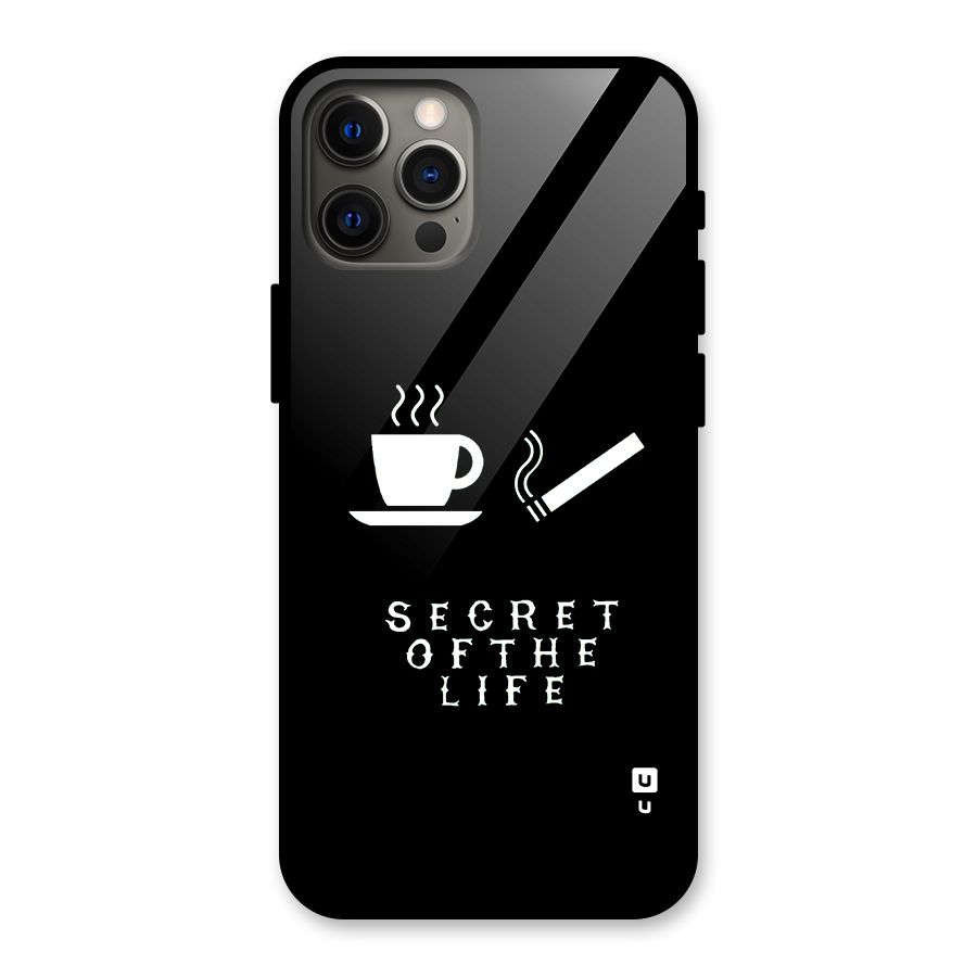 Secrate of Life Glass Back Case for iPhone 12 Pro Max