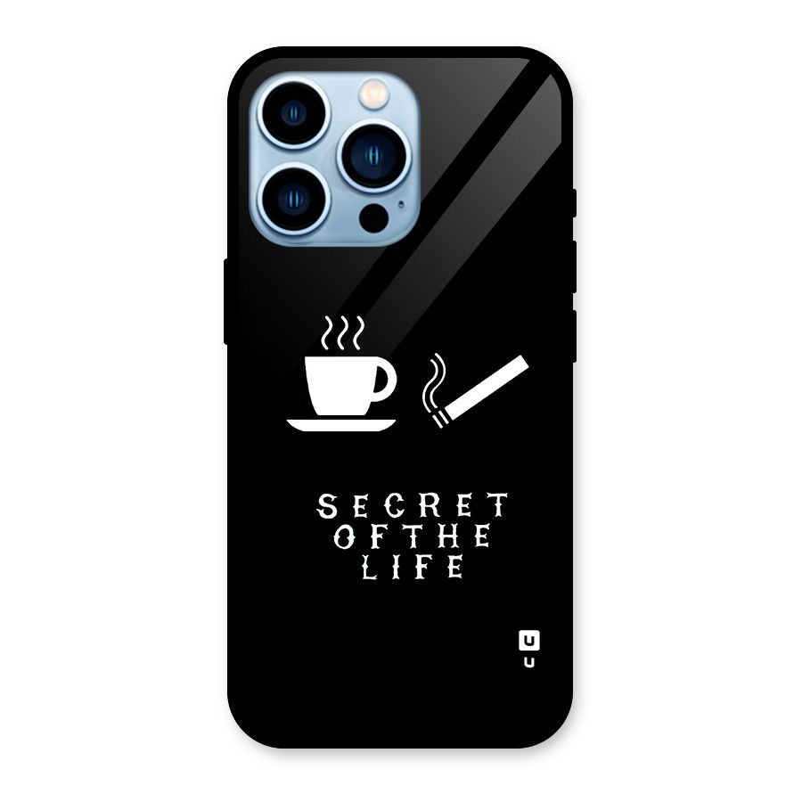 Secrate of Life Glass Back Case for iPhone 13 Pro