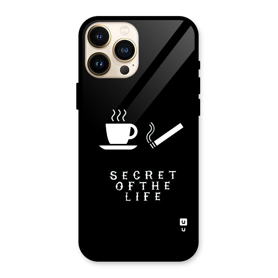 Secrate of Life Glass Back Case for iPhone 13 Pro Max