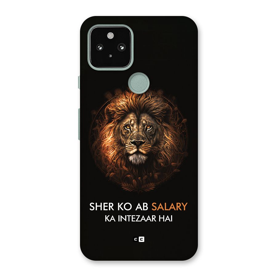 Sher On Salary Back Case for Google Pixel 5