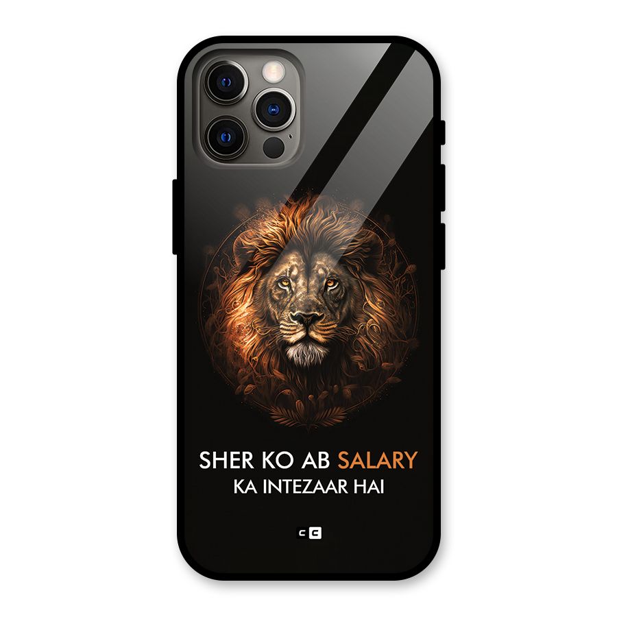 Sher On Salary Glass Back Case for iPhone 12 Pro