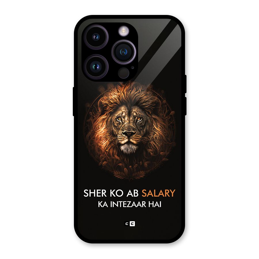 Sher On Salary Glass Back Case for iPhone 14 Pro