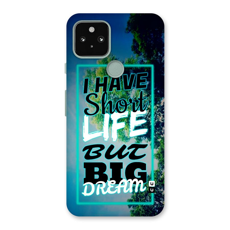 Short Life Big Dream Back Case for Google Pixel 5
