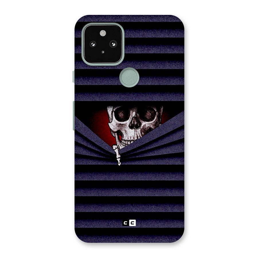 Skull Peak Back Case for Google Pixel 5