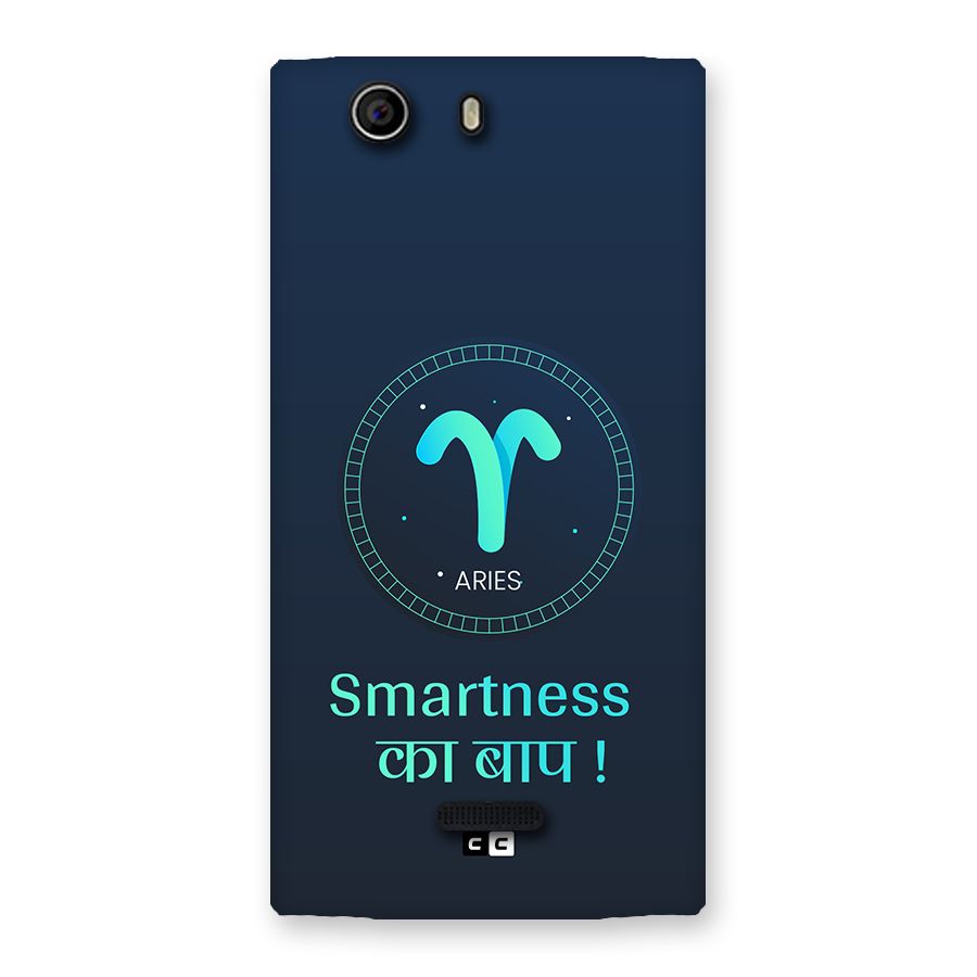 Smart Aries Back Case for Canvas Nitro 2 E311