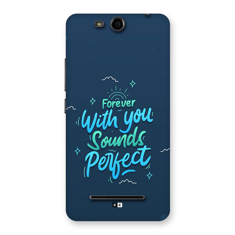 Sounds Perfect Back Case for Canvas Juice 3 Q392