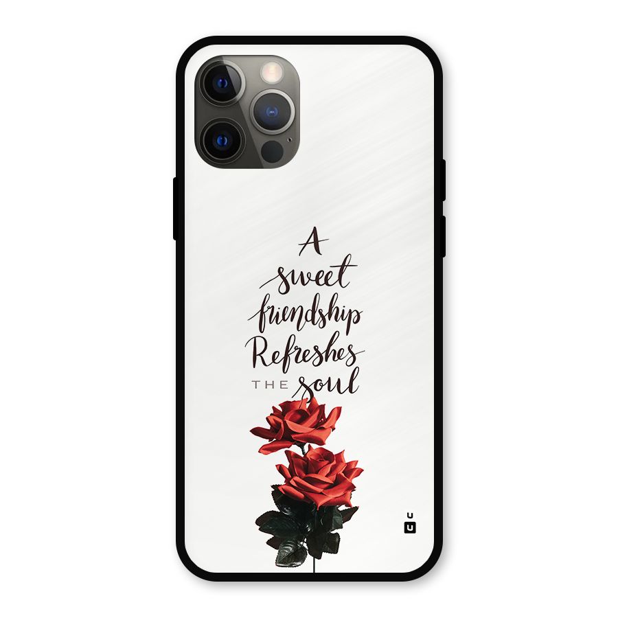 Sweet Friendship Metal Back Case for iPhone 12 Pro