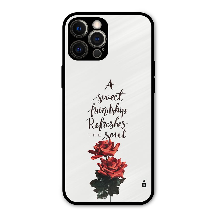 Sweet Friendship Metal Back Case for iPhone 12 Pro Max