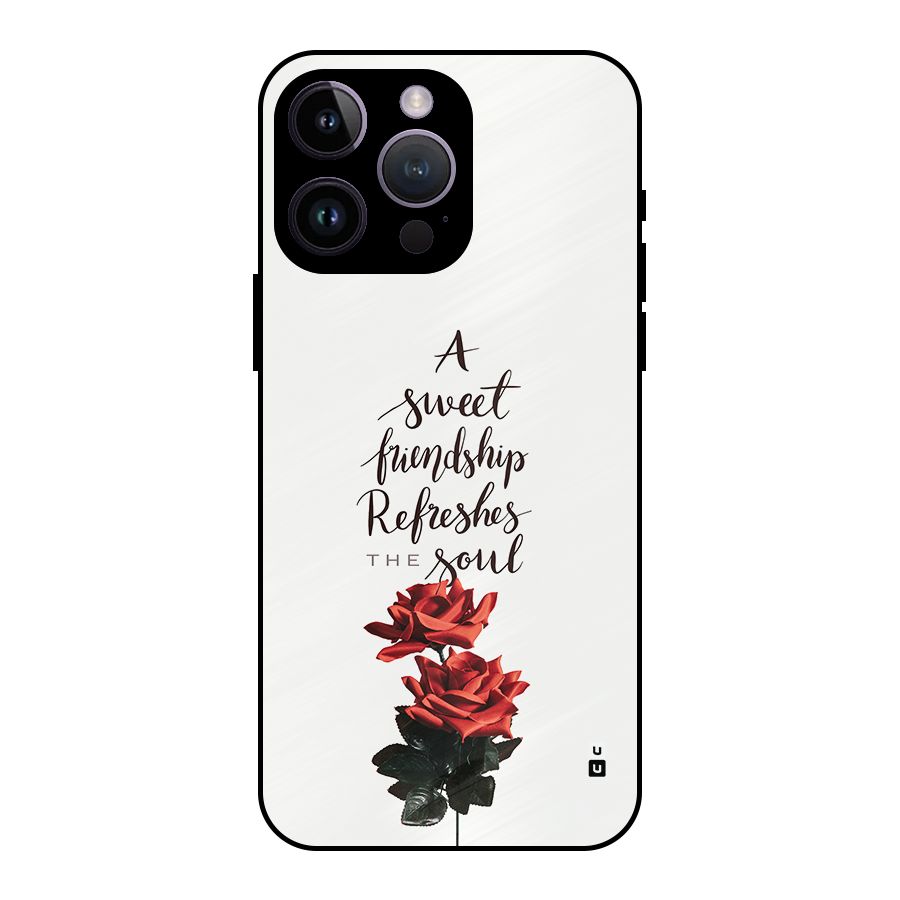Sweet Friendship Metal Back Case for iPhone 14 Pro Max