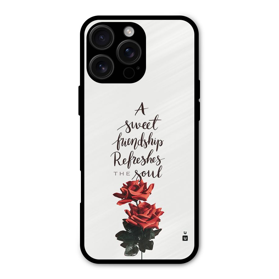 Sweet Friendship Metal Back Case for iPhone 16 Pro Max