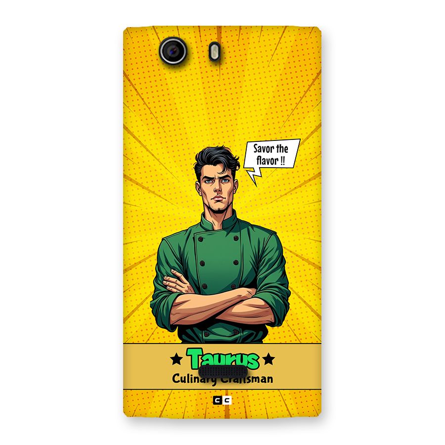 Taurus Craft Back Case for Canvas Nitro 2 E311