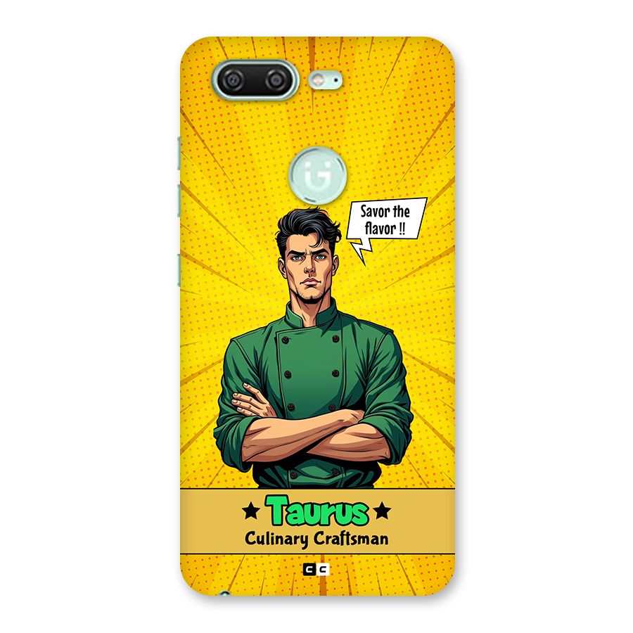 Taurus Craft Back Case for Gionee S10