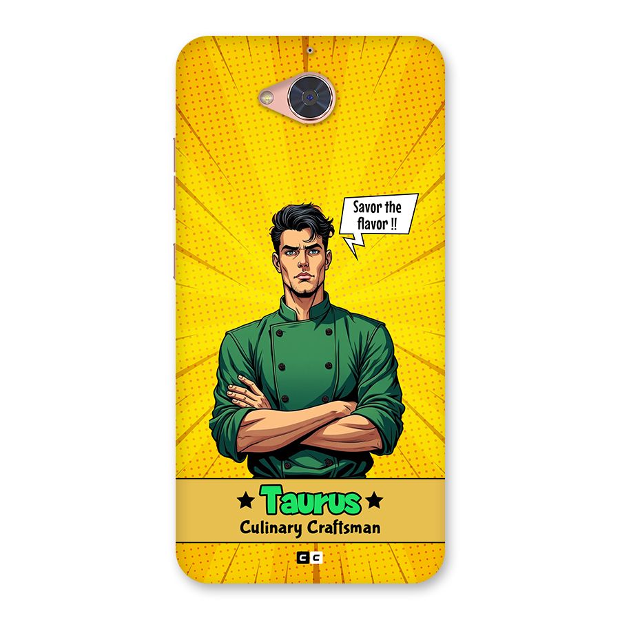 Taurus Craft Back Case for Gionee S6 Pro