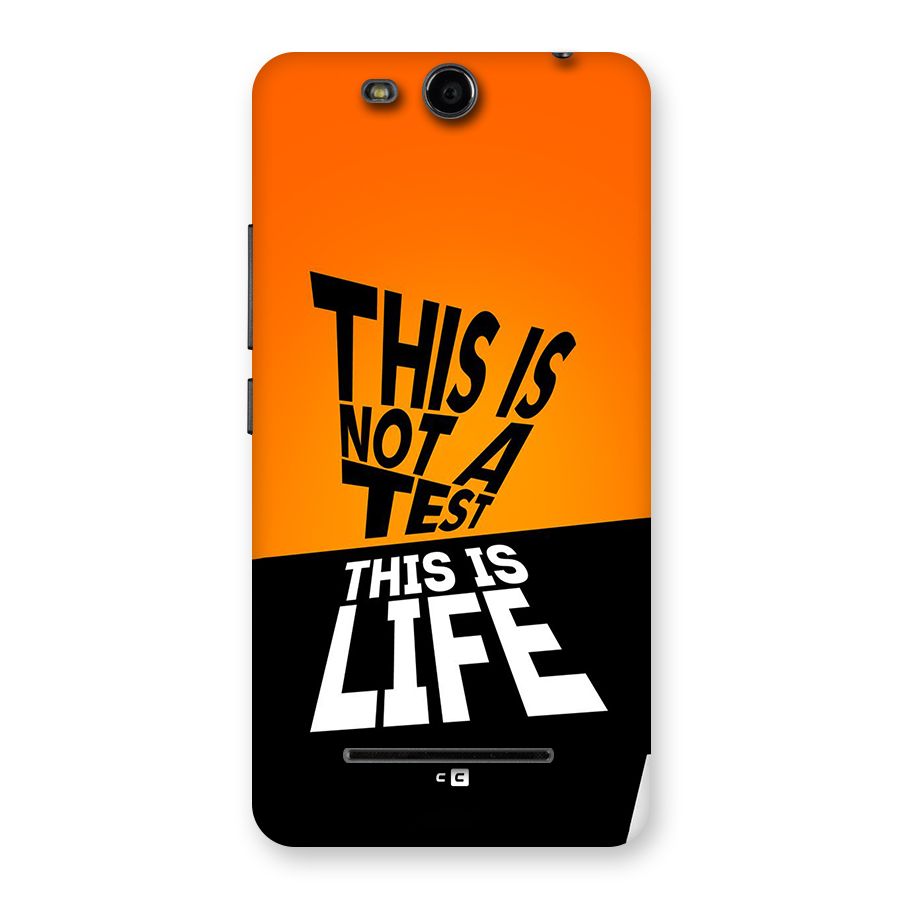 Test Life Back Case for Canvas Juice 3 Q392