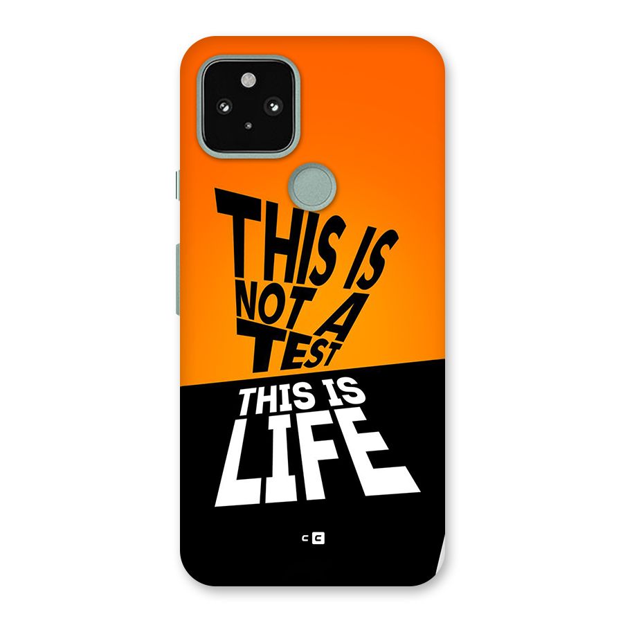Test Life Back Case for Google Pixel 5