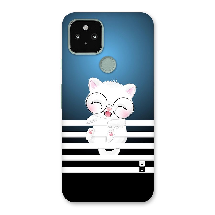 The Cat on Stripes Back Case for Google Pixel 5