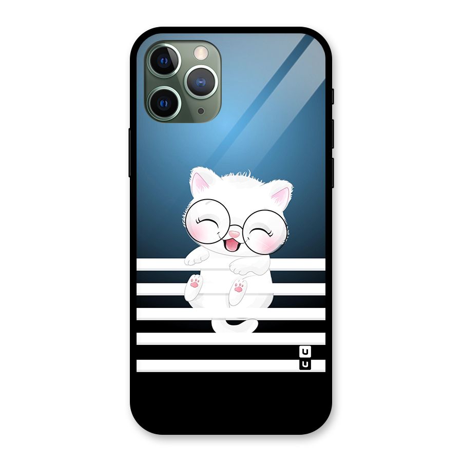 The Cat on Stripes Glass Back Case for iPhone 11 Pro