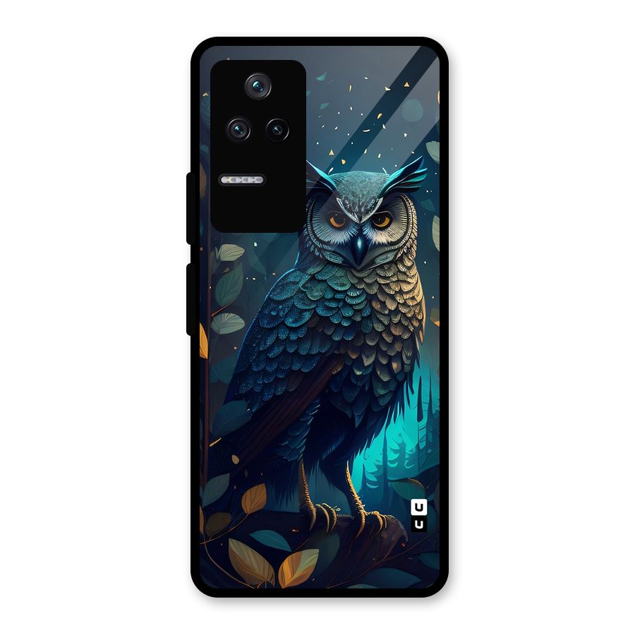 The Cunning Owl Glass Back Case for Poco F4 5G