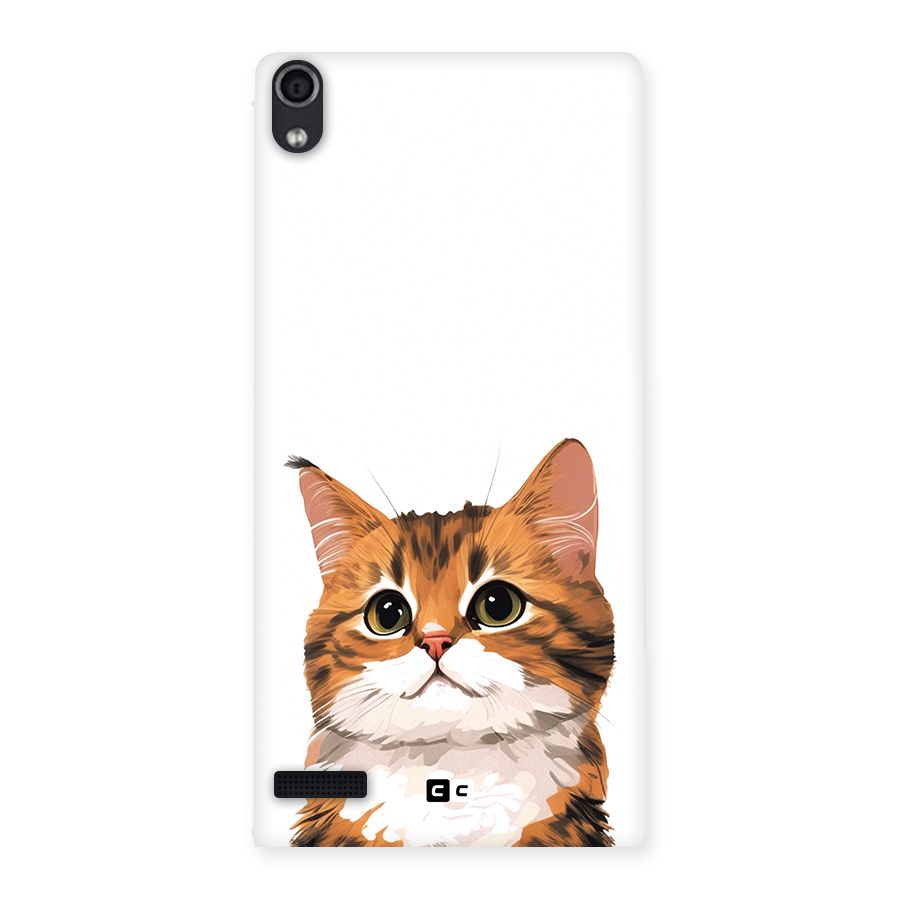 The Cute Cat Back Case for Ascend P6