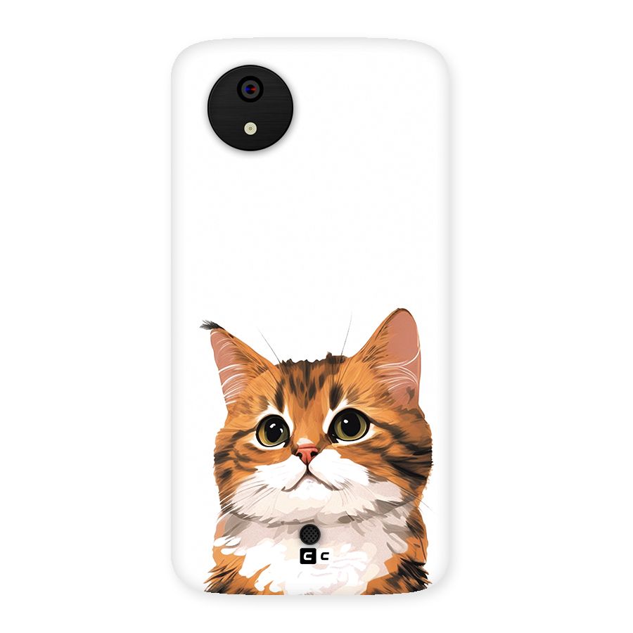 The Cute Cat Back Case for Canvas A1  AQ4501