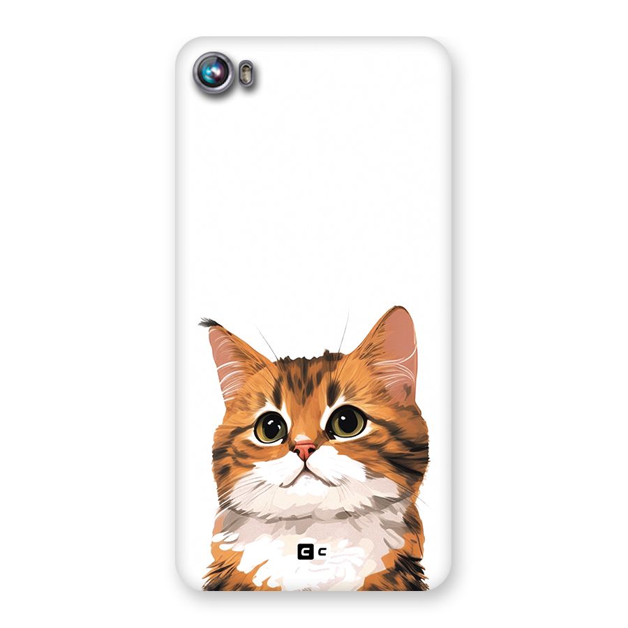 The Cute Cat Back Case for Canvas Fire 4 (A107)