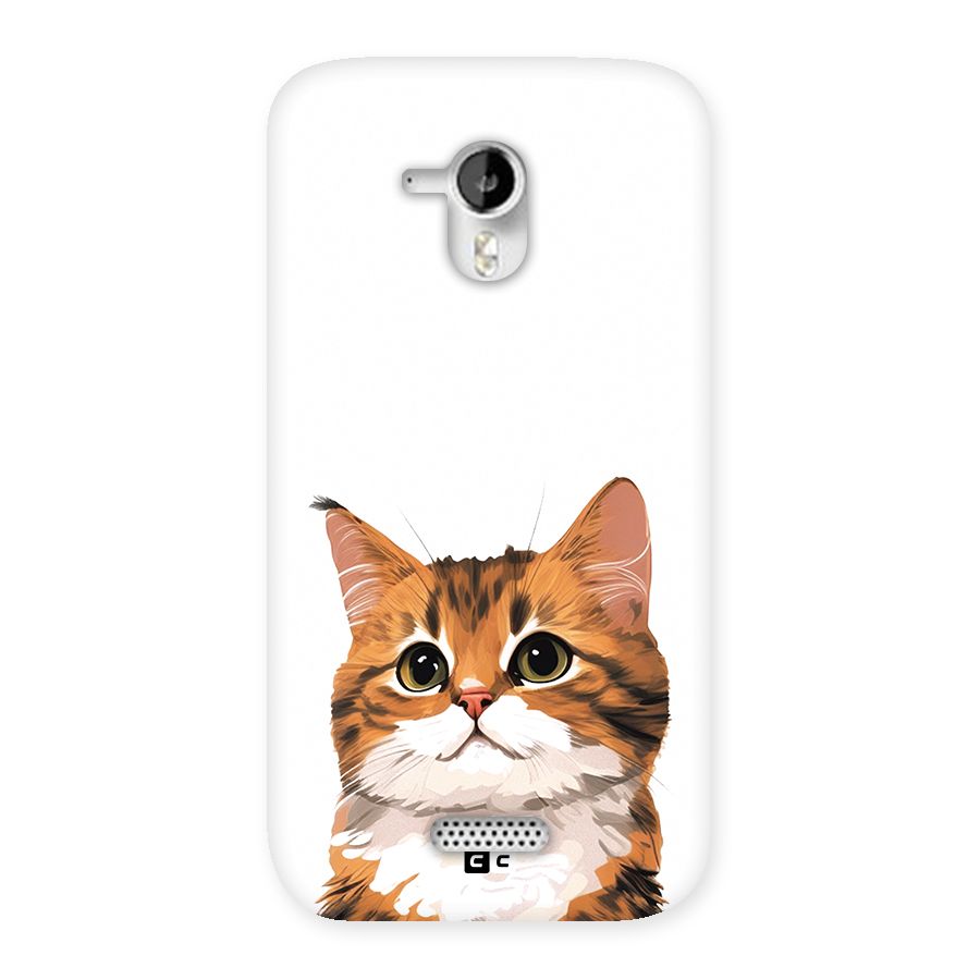 The Cute Cat Back Case for Canvas HD A116