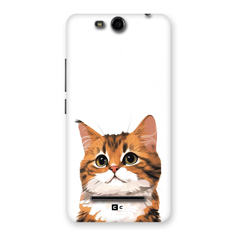 The Cute Cat Back Case for Canvas Juice 3 Q392