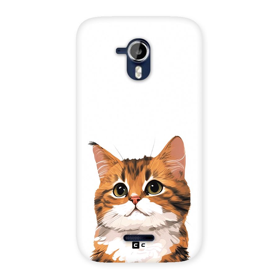 The Cute Cat Back Case for Canvas Magnus A117