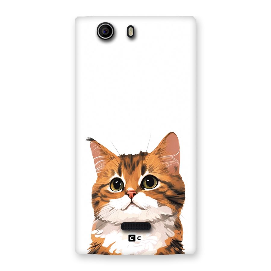 The Cute Cat Back Case for Canvas Nitro 2 E311