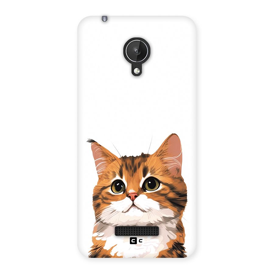The Cute Cat Back Case for Canvas Spark Q380