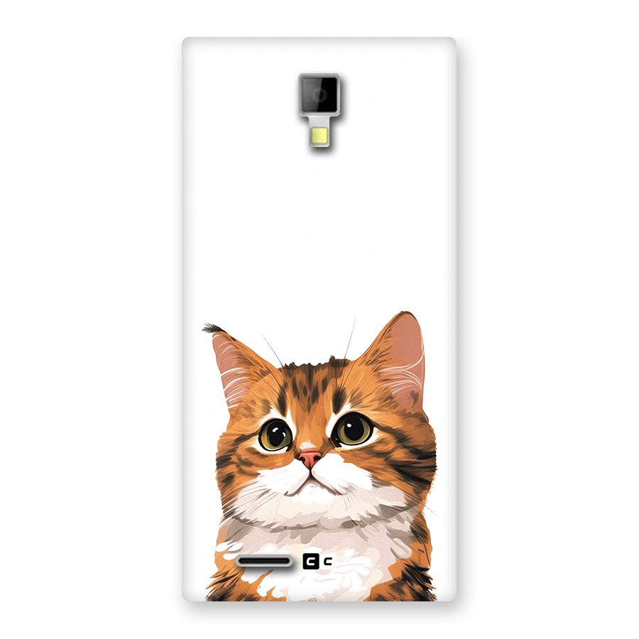 The Cute Cat Back Case for Canvas Xpress A99