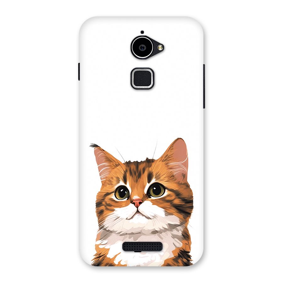 The Cute Cat Back Case for Coolpad Note 3 Lite