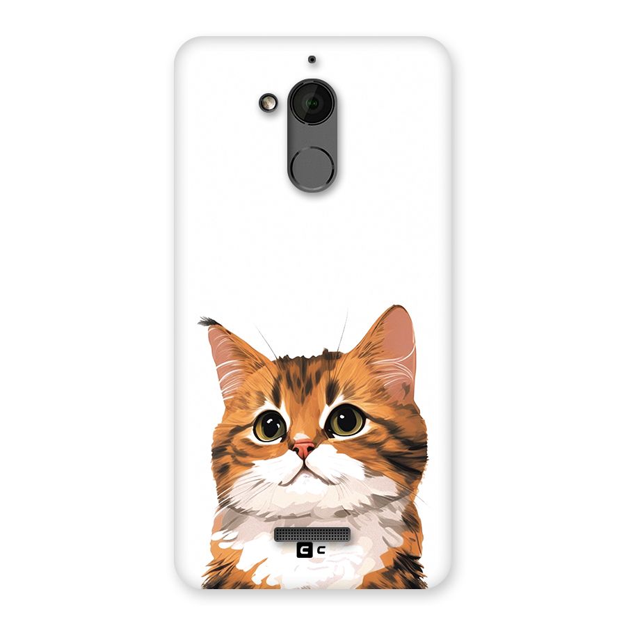 The Cute Cat Back Case for Coolpad Note 5