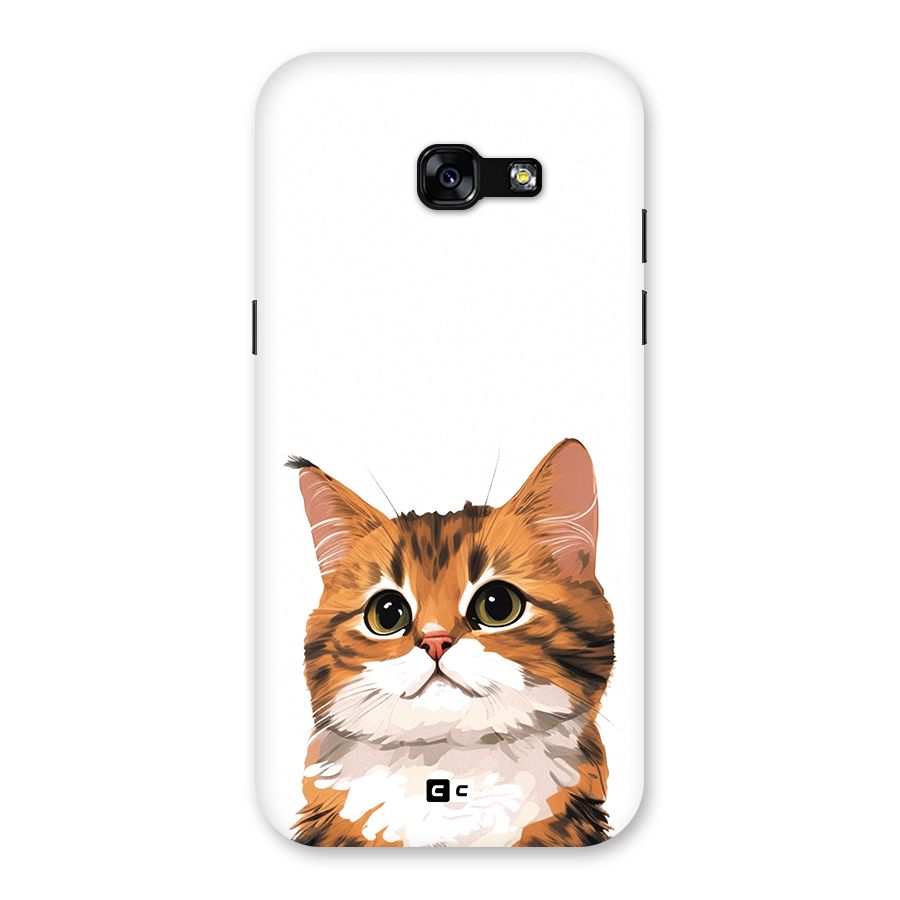 The Cute Cat Back Case for Galaxy A5 2017
