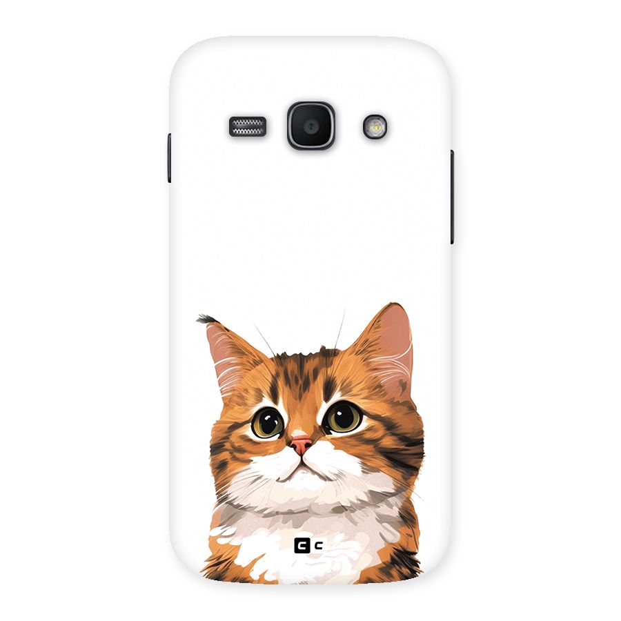 The Cute Cat Back Case for Galaxy Ace3
