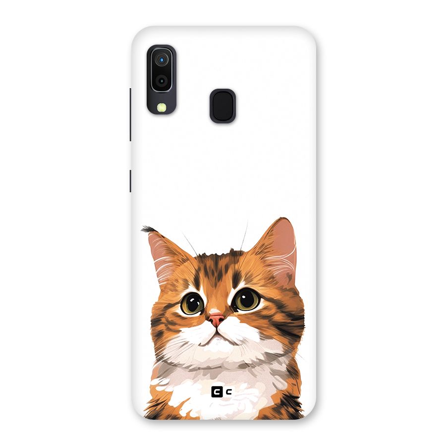 The Cute Cat Back Case for Galaxy M10s