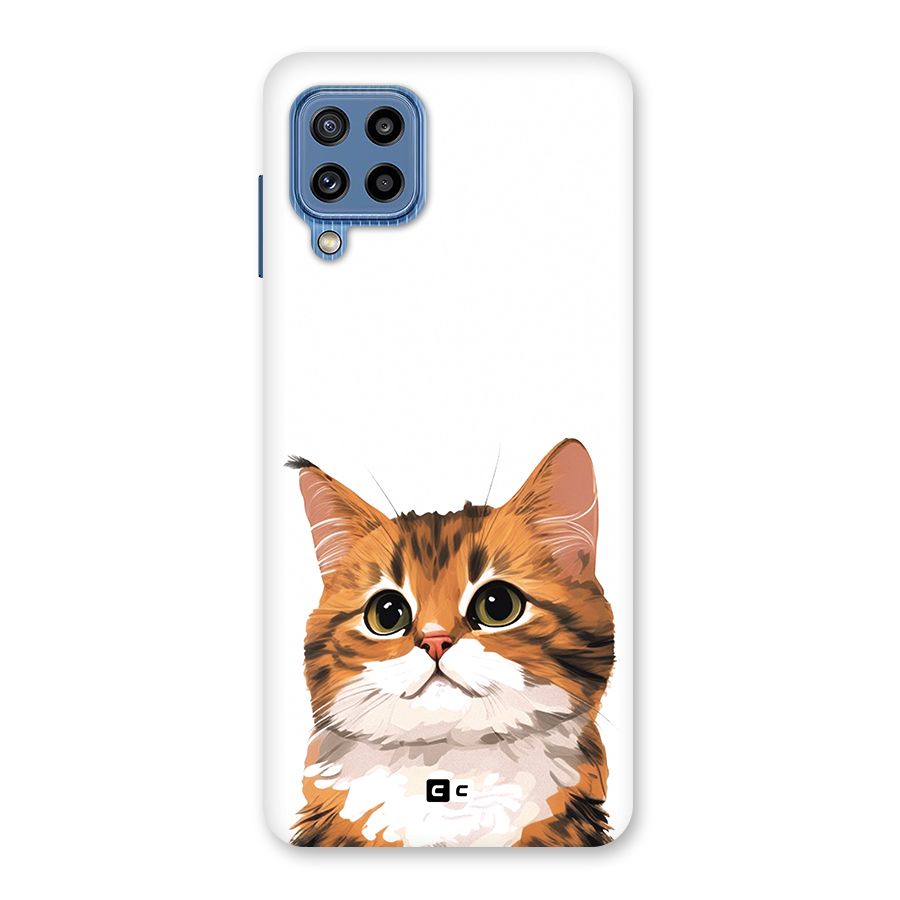 The Cute Cat Back Case for Galaxy M32