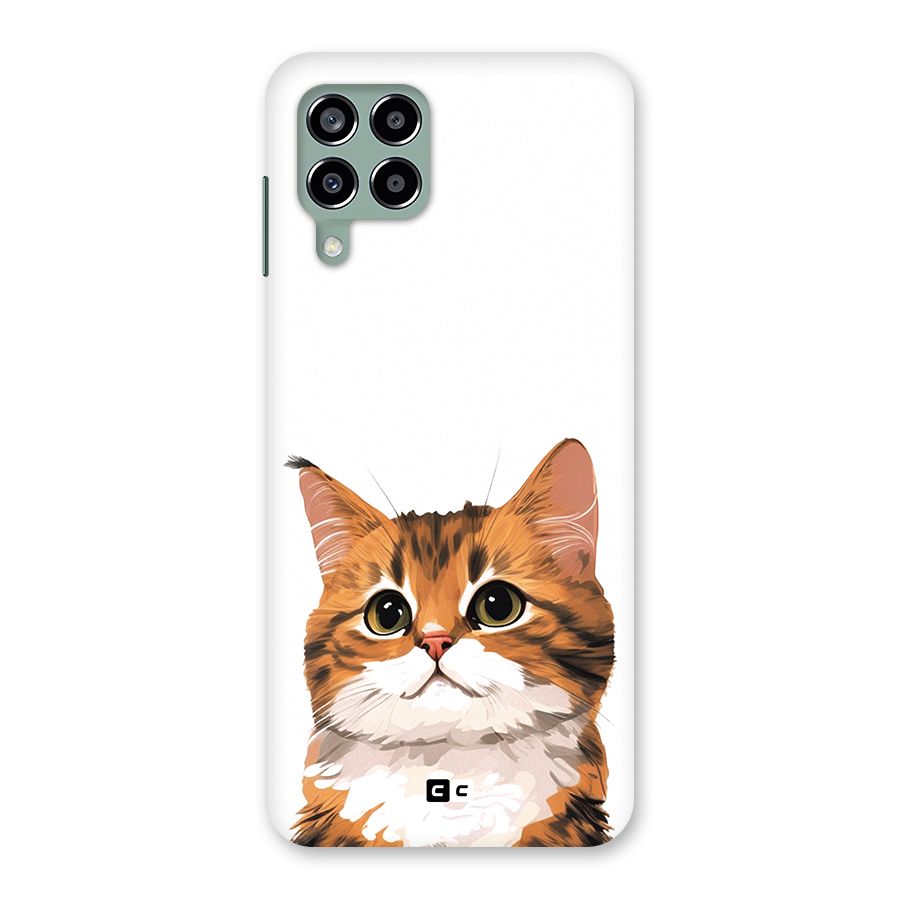 The Cute Cat Back Case for Galaxy M33